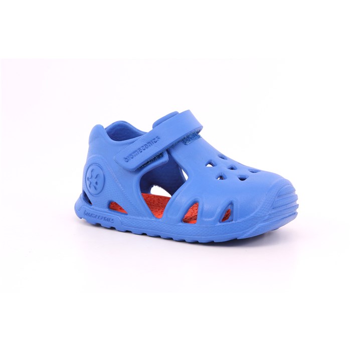 Biomecanics Ragnetto Azzurro