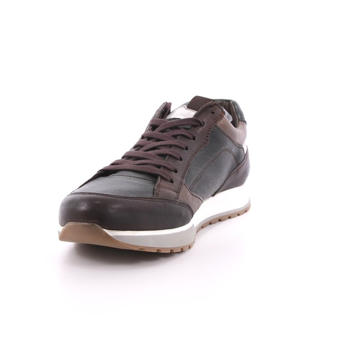 Scarpa Allacciata Payo Uomo Marrone  Scarpe 47 - 3060