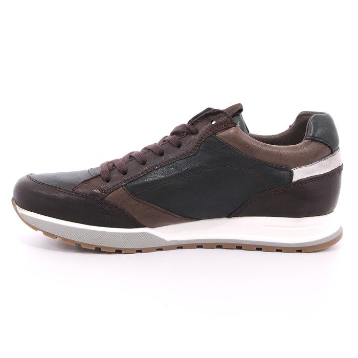 Scarpa Allacciata Payo Uomo Marrone  Scarpe 47 - 3060